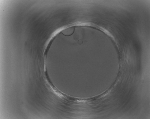 X0000081491223200701191850