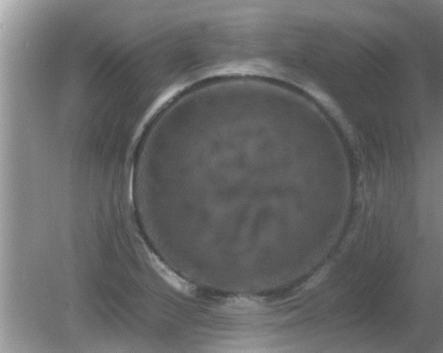 X0000081491224200701191850