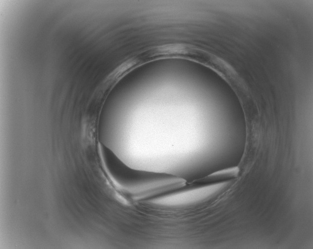 X0000081491225200701191850