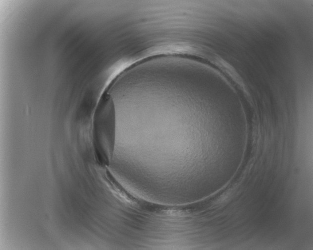 X0000081491226200701191850