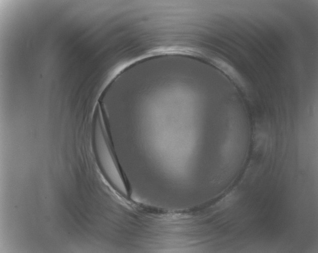 X0000081491228200701191850