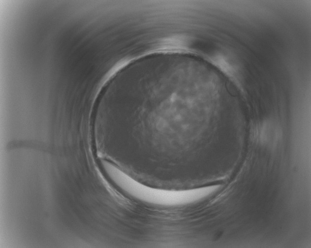 X0000081491229200701191850