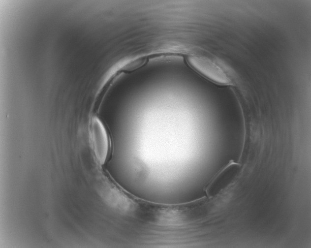 X0000081491230200701191850