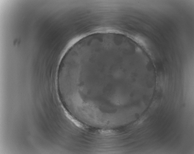 X0000081491231200701191850