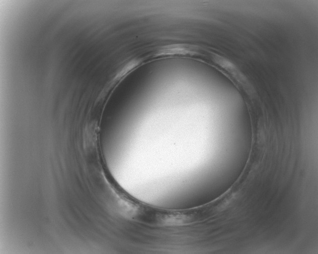 X0000081491233200701191850