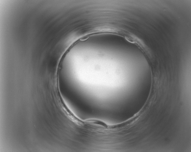 X0000081491236200701191850