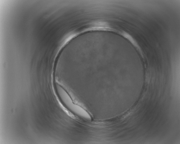 X0000081491237200701191850