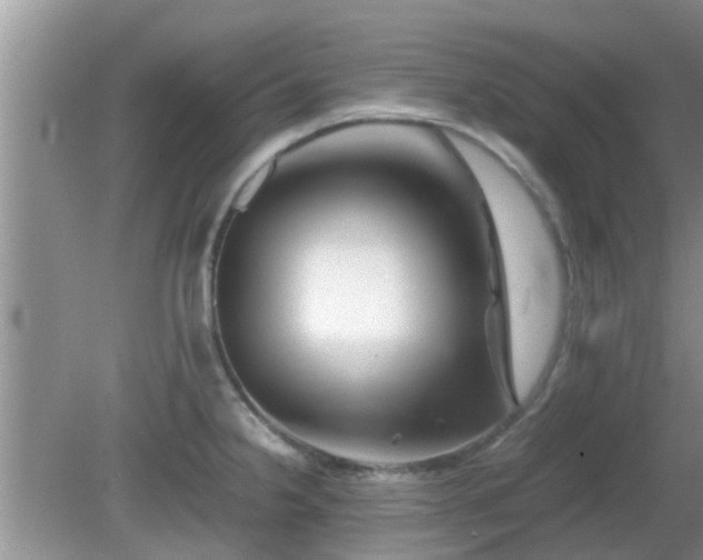 X0000081491238200701191850