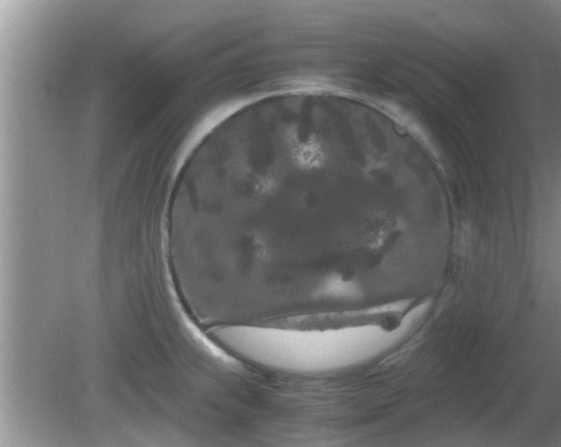 X0000081491239200701191850