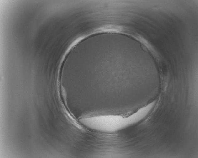 X0000081491240200701191850