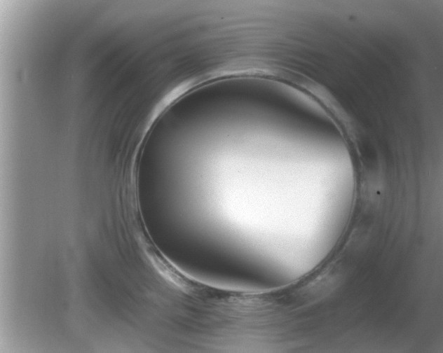 X0000081491242200701191850