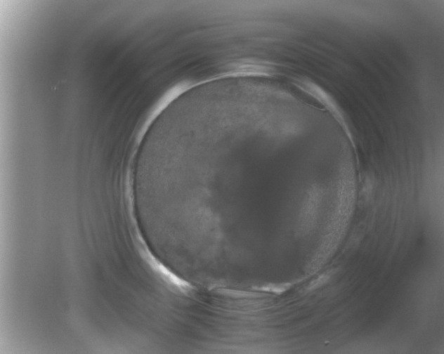 X0000081491243200701191850