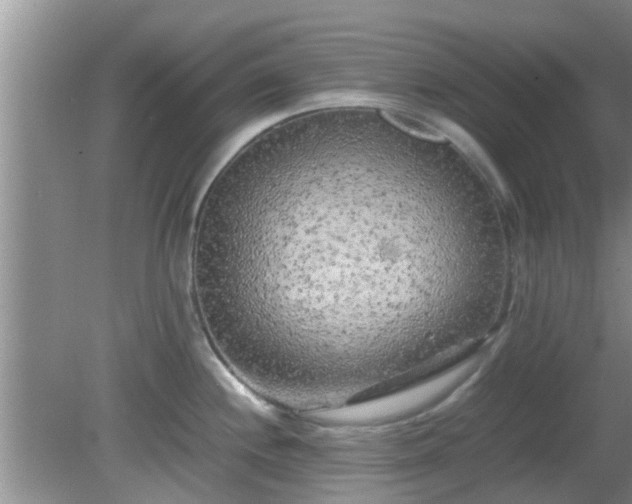 X0000081491244200701191850