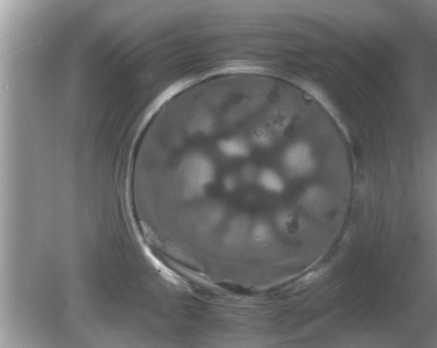 X0000081491245200701191850