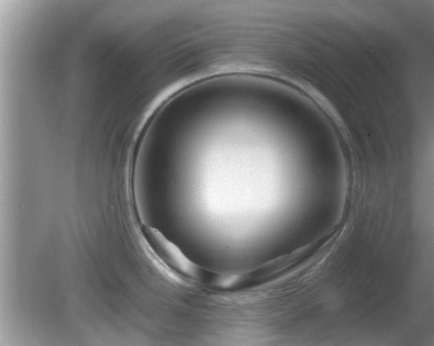 X0000081491246200701191850