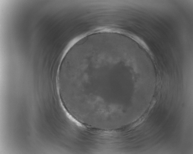 X0000081491247200701191850