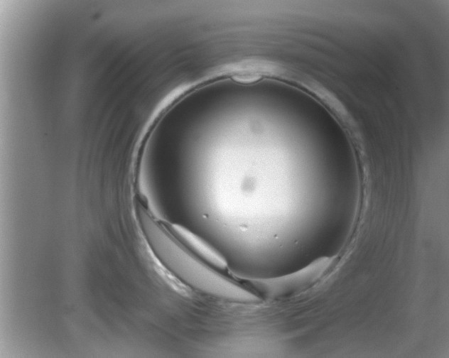 X0000081491248200701191850