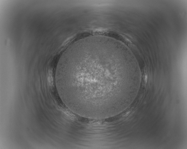 X0000081491252200701191849