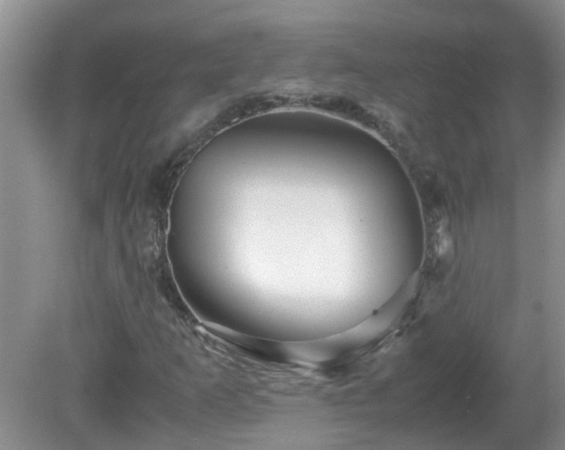 X0000081491253200701191849