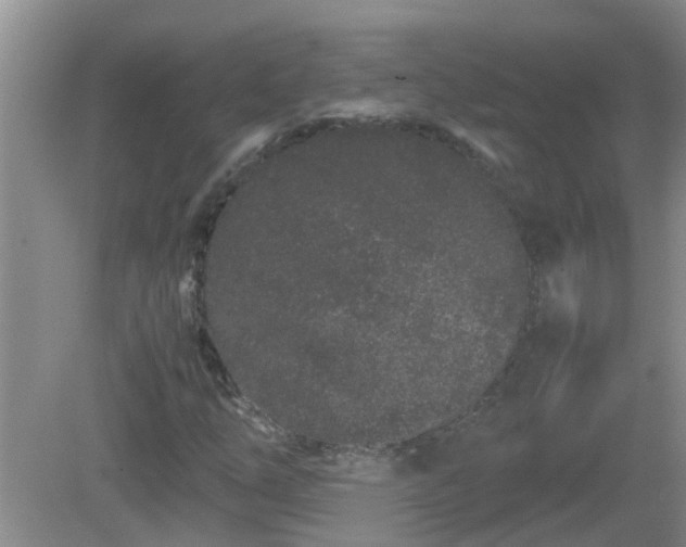 X0000081491254200701191849