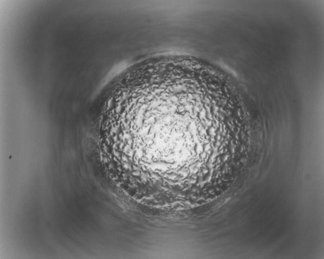 X0000081491255200701191849