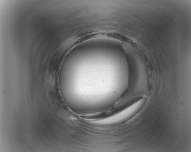 X0000081491257200701191849