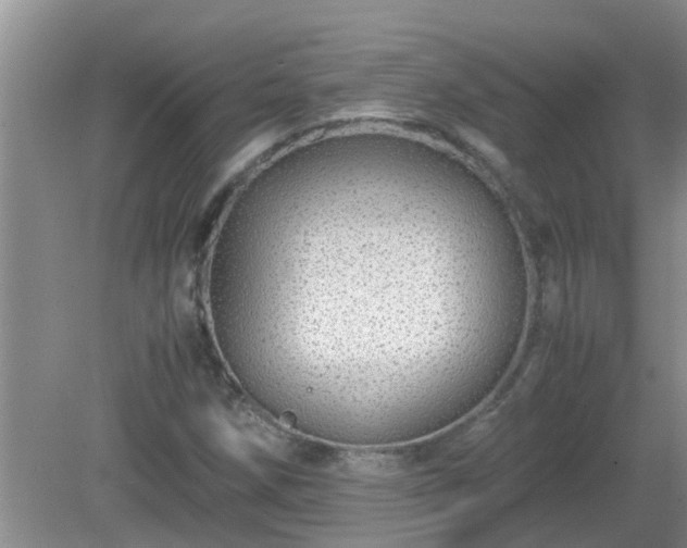 X0000081491258200701191849