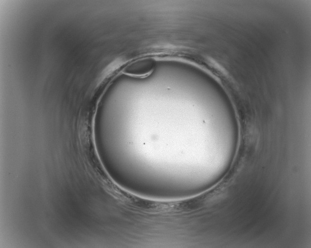 X0000081491259200701191849