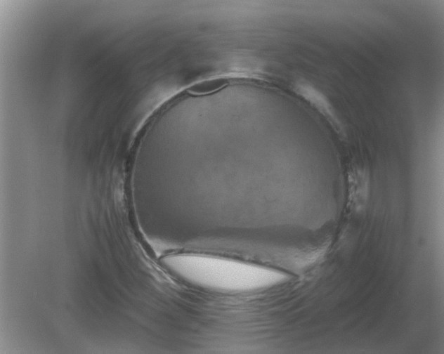 X0000081491260200701191849