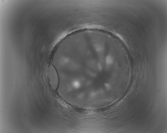 X0000081491263200701191849