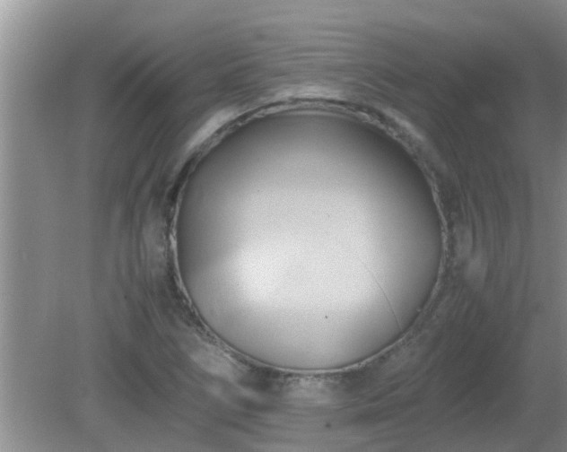 X0000081491266200701191849