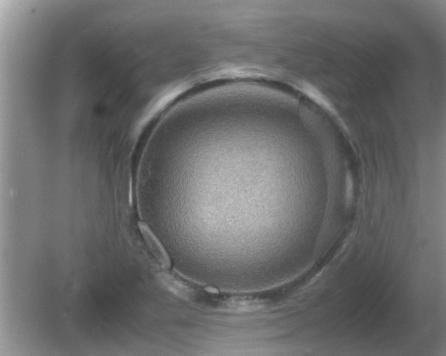 X0000081491269200701191849