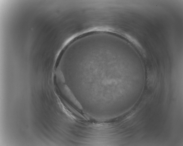 X0000081491272200701191849