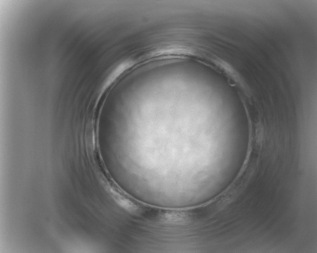 X0000081491274200701191849