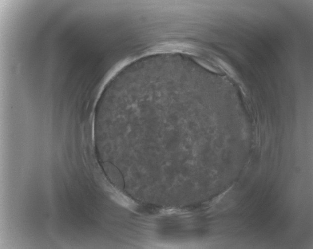 X0000081491275200701191849