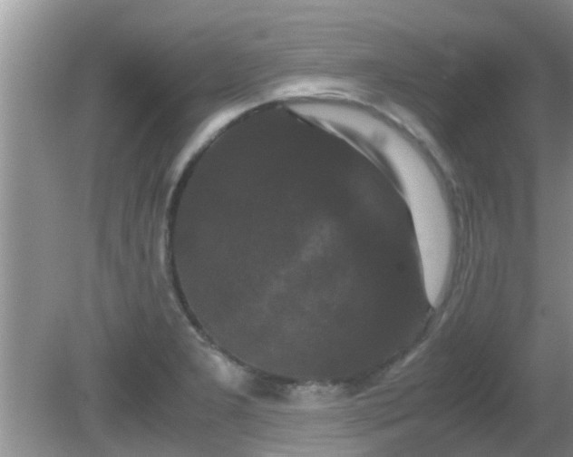 X0000081491277200701191849