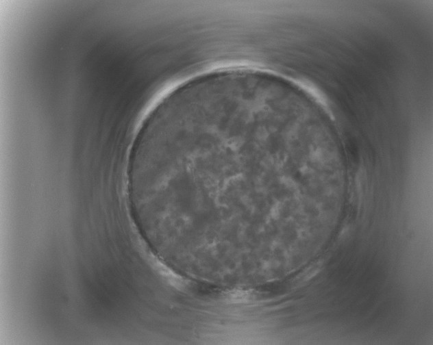 X0000081491279200701191849