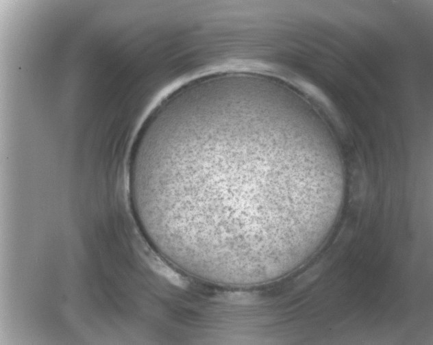 X0000081491280200701191849