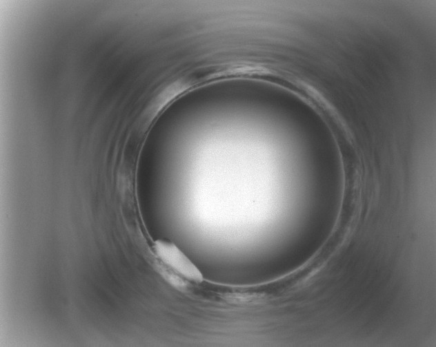 X0000081491281200701191849