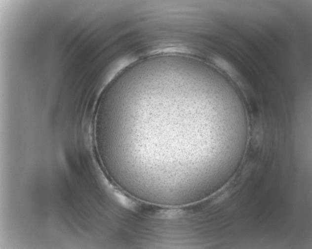 X0000081491282200701191849