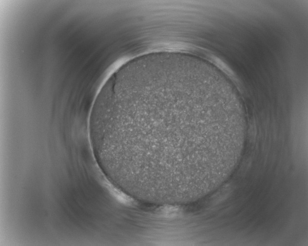 X0000081491283200701191849