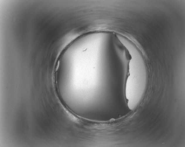 X0000081491285200701191849