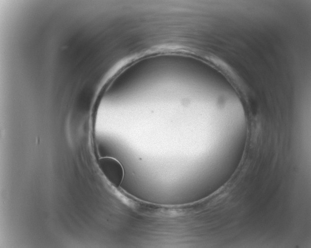 X0000081491286200701191849