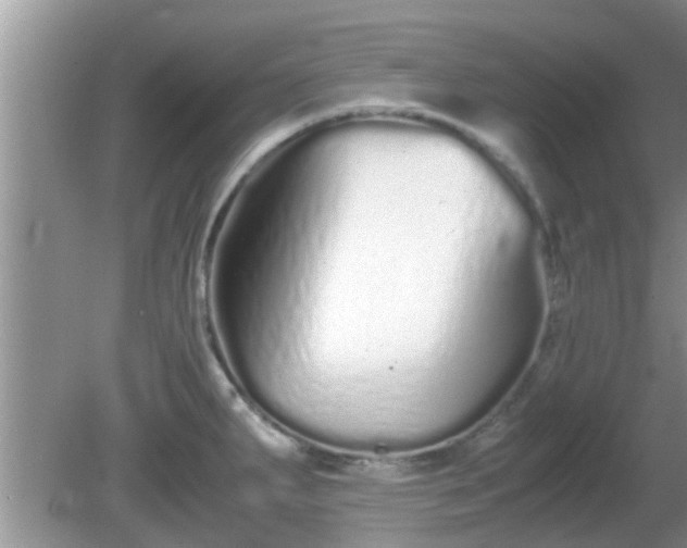 X0000081491287200701191849