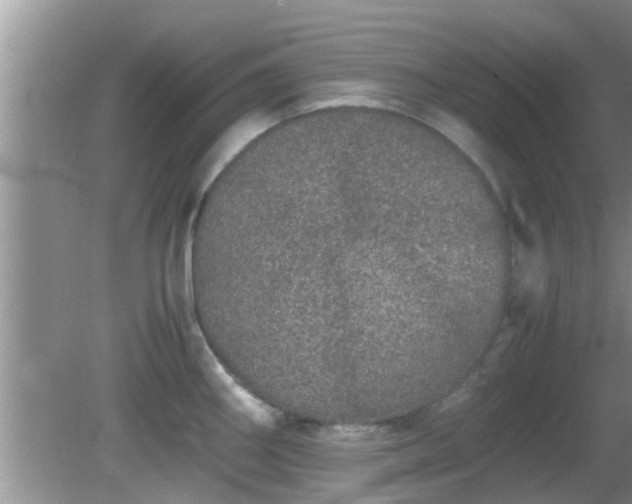 X0000081491290200701191849