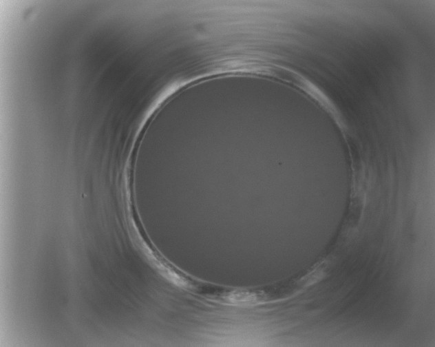 X0000081491291200701191849