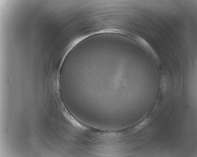 X0000081491292200701191848