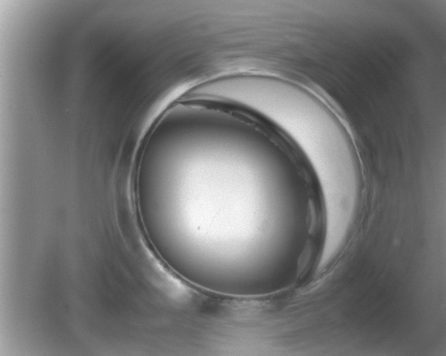 X0000081491293200701191848