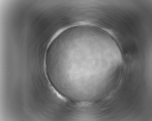 X0000081491294200701191848