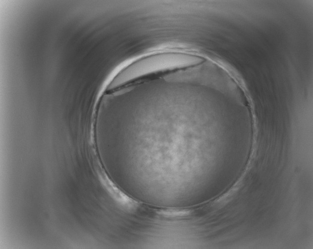 X0000081491296200701191848